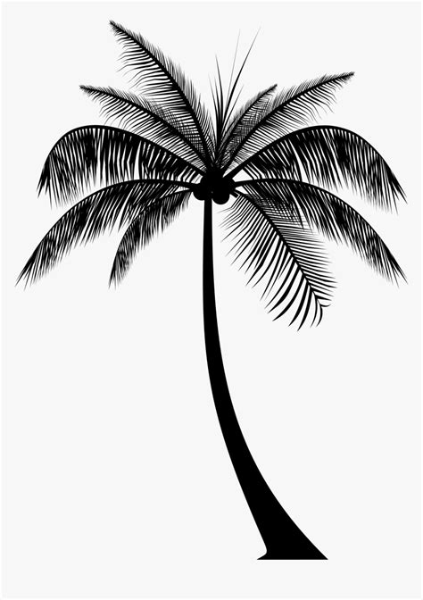 palm tree silhouette|palm tree silhouette transparent.